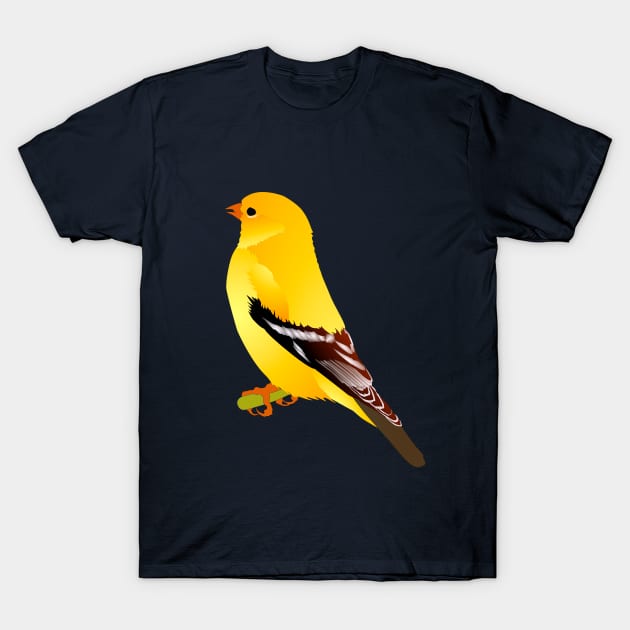 Goldfinch T-Shirt by CavaloBiianco